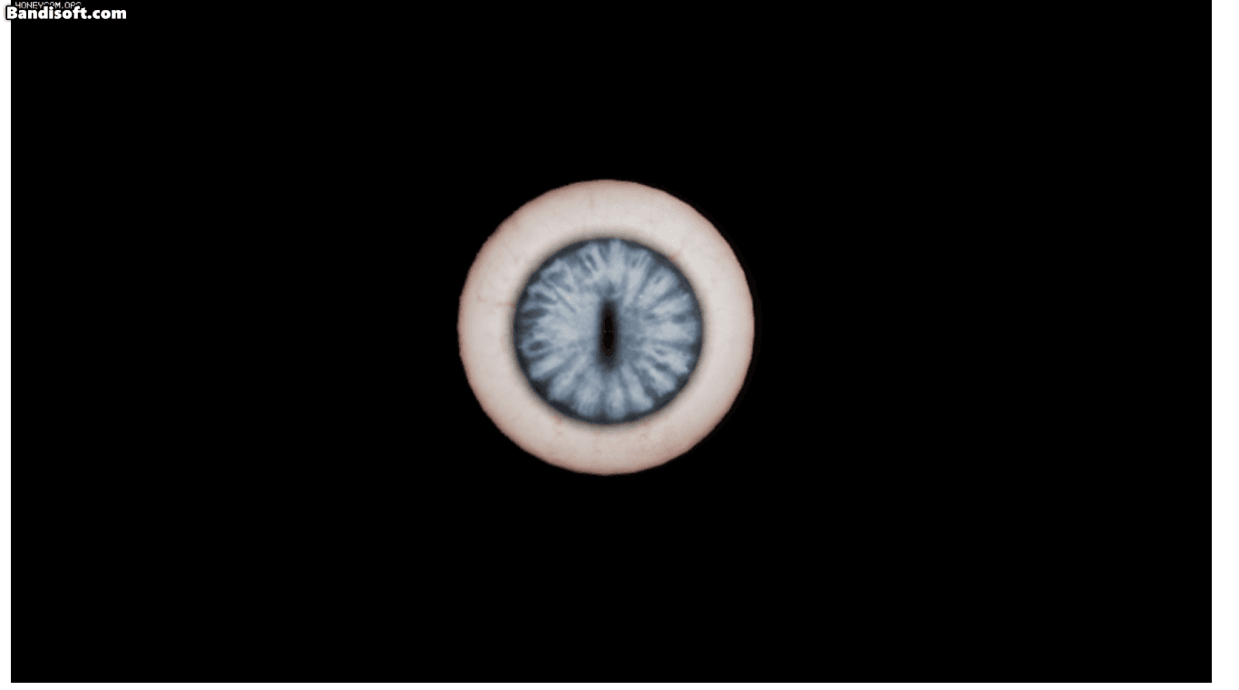 [Unused, RnD]