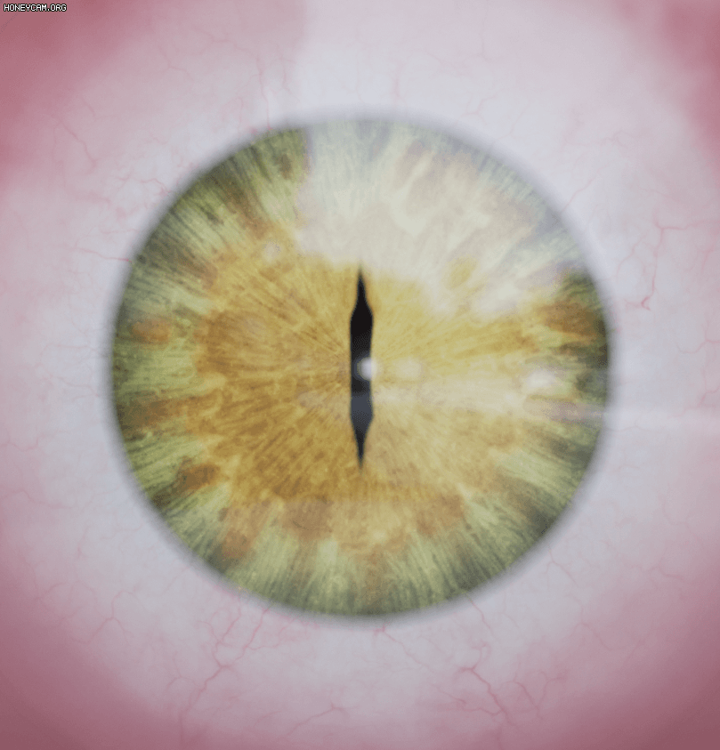 [Unused, RnD]